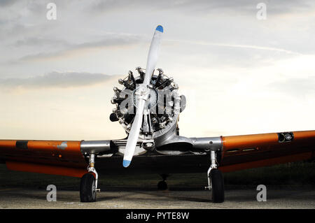 North American T-6 Texan war ein einmotoriges Nieder- und Trainingsflugzeuge von der US-amerikanischen Firma North American Aviation während des WK II hergestellt Stockfoto