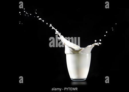 Langwierige Milch spritzt aus einem Glas transparent Glas auf einem schwarzen Hintergrund. Stockfoto