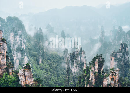 Berühmte Touristenattraktion von China - Zhangjiajie Steinsäulen cliff Berge im Nebel Wolken am Landschaftspark Wulingyuan gelegen, Hunan, China Stockfoto