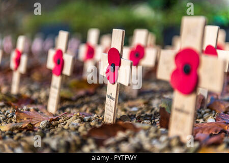 Ein kleines Grundstück auf dem Friedhof in Cirencester Pfarrkirche ist mit Erinnerung kreuzt vor der Armistice Day gesäumt. Stockfoto