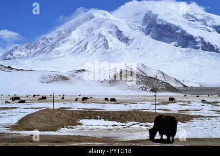 Schöne Landschaft mit schneebedeckten Berge im Karakorum Highway in Xinjiang, China Stockfoto