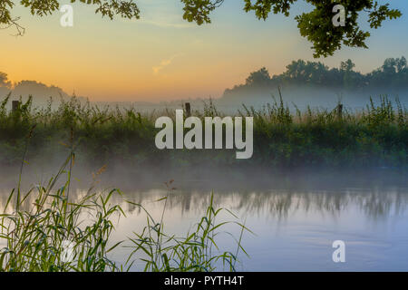 Fluss Dinkel mit üppiger Vegetation auf Bank in Twente an einem frühen Sommermorgen mit Nebel über der Landschaft der Niederlande Stockfoto
