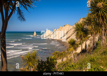 Cape Kidnapper mit Kohl Bäume (Cordyline australis) vor, Napier, Neuseeland Stockfoto