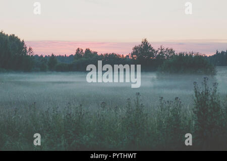 Weißer Nebel legt über das Gras Feld. Romantischen Sommerabend Szene. Stockfoto