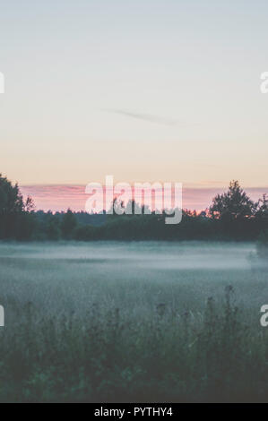 Weißer Nebel legt über das Gras Feld. Romantischen Sommerabend Szene. Stockfoto