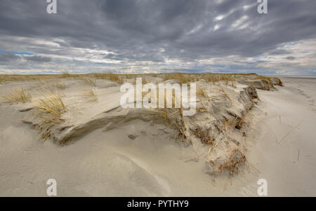 Ausbildung der Jungen Dünenlandschaft auf unbewohnten Rottumerplaat Insel im Wattenmeer, Niederlande Stockfoto