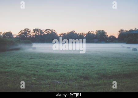 Weißer Nebel legt über das Gras Feld. Romantischen Sommerabend Szene. Stockfoto