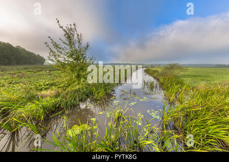 Helle Sommer Landschaft einer lowland River Valley mit Nebel Öffnung zu niedrige Wolken und starker Gegenwind in der Nähe von Eelde, Niederlande Drenthe Stockfoto