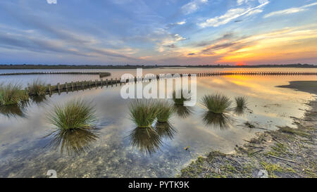 Neue ökologische Nass berm Banken für Wave Schutz am Ufer des neuen See bei Meerstad Development Area, Groningen, Niederlande Stockfoto