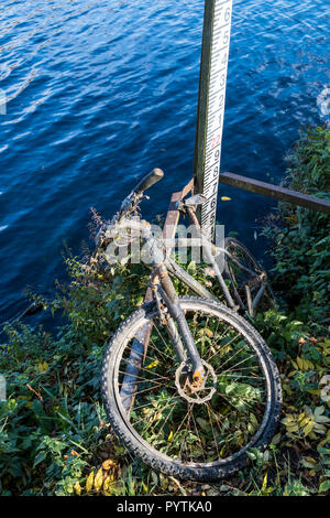 Alte gedumpten verlassene Fahrräder am Ufer des Flusses Trent, Nottinghamshire, England, Großbritannien Stockfoto