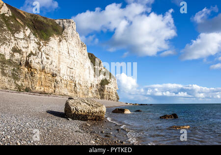 Branscombe Beach in der Nähe von Seaton in Devon in Südengland Stockfoto