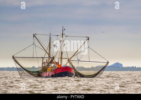 Krabbenfang cutter Schiff im niederländischen Wattenmeer Stockfoto