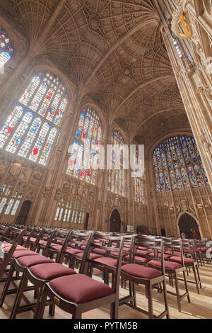 Stuhlreihen vor der Süden und Westen Glasfenster unter dem Lüfter vault Obergrenze der King's College Chapel, der Universität von Cambridge. Stockfoto