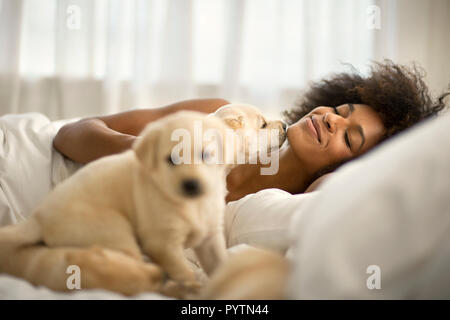 Junge Frau liegend auf Bett mit Labrador Welpen. Stockfoto