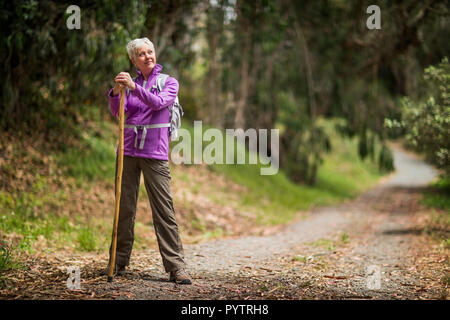 Hände einer Frau gießen kochendes Wasser in eine Tasse Tee. Stockfoto