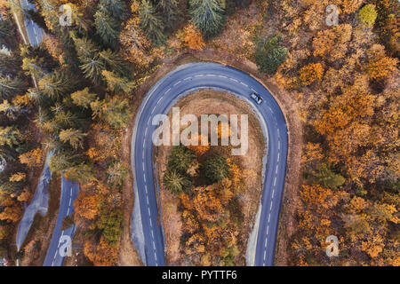 Schöne Straße im Herbst Wald. Antenne Landschaft der Herbstsaison, Blick von oben auf das Autofahren auf dem Berg Serpentine von Drone. Stockfoto