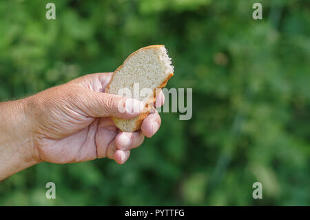 Die Hand des Mannes, die Scheibe Weißbrot gegen grüne natürlichen Hintergrund Stockfoto