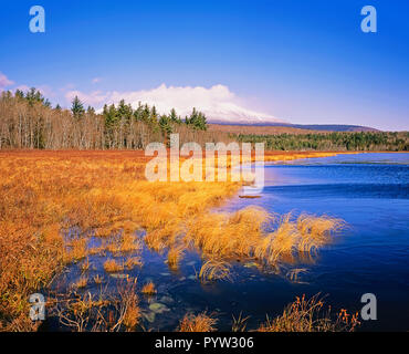 Daicey Teich und Mount Kathadin, Baxter State Park, Maine, USA Stockfoto