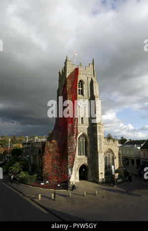 Sudbury, Suffolk, Großbritannien. 30. Oktober, 2018. Eine fließende Kaskade von 20.000 gewirkten und gestrickten Mohn hat sich vom Kirchturm der St. Peters Kirche, Sudbury, Suffolk zu 100 Jahre mark Seit dem Ende des Ersten Weltkriegs hing. Credit: rot Fred/Alamy leben Nachrichten Stockfoto