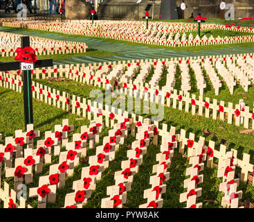 Leith, Edinburgh, Schottland, Großbritannien, 30. Oktober 2018. Mohnblume Schottland: Edinburgh Feld der Erinnerung der Öffentlichkeit auf das Scott Monument in der Princes Street Gardens für die Schottische Poppy Appell in der bis zum Tag der Erinnerung und zu markieren, um den Waffenstillstand 100. Stockfoto
