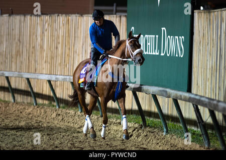 Louisville, KY, USA. 30 Okt, 2034. Oktober 30, 2018: in der Churchill Downs am 30. Oktober 2018 in Louisville, Kentucky. Scott Serio/Eclipse Sportswire/CSM/Alamy leben Nachrichten Stockfoto