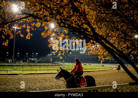 Louisville, KY, USA. 30 Okt, 2018. Oktober 30, 2018: in der Churchill Downs am 30. Oktober 2018 in Louisville, Kentucky. Scott Serio/Eclipse Sportswire/CSM/Alamy leben Nachrichten Stockfoto