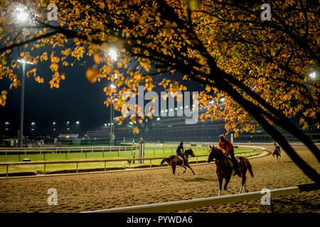 Louisville, KY, USA. 30 Okt, 2018. Oktober 30, 2018: in der Churchill Downs am 30. Oktober 2018 in Louisville, Kentucky. Scott Serio/Eclipse Sportswire/CSM/Alamy leben Nachrichten Stockfoto