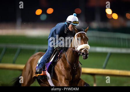 Louisville, KY, USA. 30 Okt, 2018. Oktober 30, 2018: in der Churchill Downs am 30. Oktober 2018 in Louisville, Kentucky. Michael Sportswire McInally/Eclipse/CSM/Alamy leben Nachrichten Stockfoto