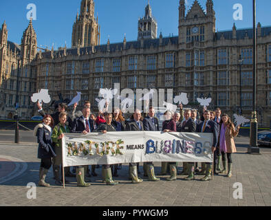 Westminster, London, Großbritannien. 31. Oktober, 2018. Bauern aus jeder Ecke der BRITISCHEN abgestiegen auf Westminster zu verlangen, dass die Regierung priorisiert Natur Landwirtschaft in den kommenden Landwirtschaft Rechnung. Mitglieder der Natur Landwirtschaft Netzwerk (NFFN) kamen aus so weit entfernten Ländern wie die schottischen Highlands und die kornischen Küste bis für die Natur heute im Parlament stehen. Die NFFN ist Treffen mit MPs für die Landwirtschaft Rechnung, die Natur in den Mittelpunkt der Agrarpolitik setzt die Lobby. Credit: Malcolm Park Redaktion/Alamy leben Nachrichten Stockfoto