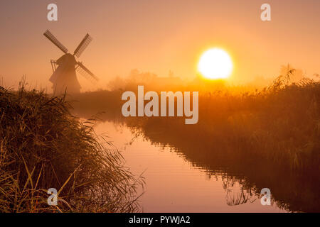 Charakteristische historische Windmühle in einem Polder Feuchtgebiet an einem nebligen Septembermorgen in den Niederlanden Stockfoto