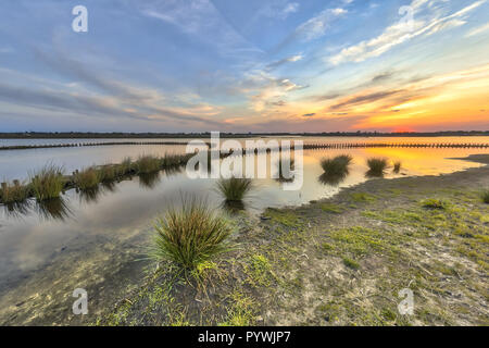 Neue ökologische Nass berm Wave pretected Banken für am Ufer des neuen See bei Meerstad Development Area, Groningen, Niederlande Stockfoto