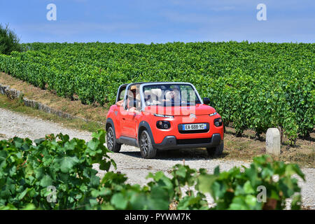 Aÿ-Champagne (Frankreich). 2018/07/24. "Ay Champagne Erfahrung', privat geführte Touren durch die Weinberge der Champagne in E-Mehari Elektroauto. Stockfoto