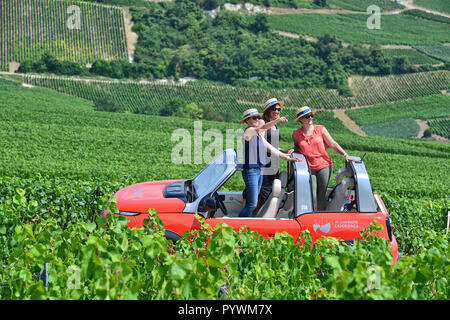 Aÿ-Champagne (Frankreich). 2018/07/24. "Ay Champagne Erfahrung', privat geführte Touren durch die Weinberge der Champagne in E-Mehari Elektroauto. Stockfoto