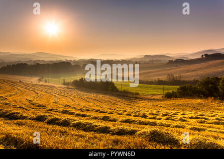 Ackerland Hügel Landschaft in der Nähe von Pisa an einem nebligen Morgen in der Toskana, Italien Stockfoto