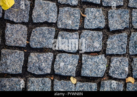 Grauen Stein Straße. Fragment eines Gehweg im Park. Stockfoto