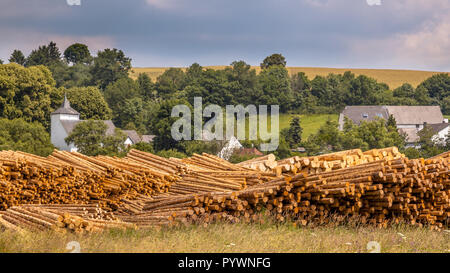 Stapel von Tree Protokolle an einem Holzplatz in einem ländlichen Dorf in der Eifel, Deutschland Stockfoto