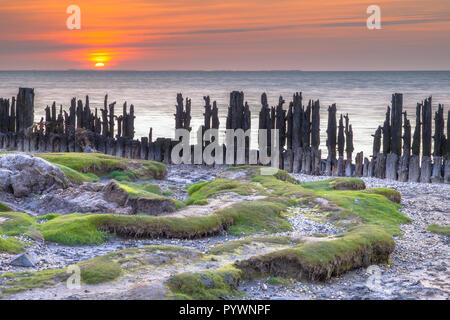 Gezeiten Salzwiesen im Natura 2000-Gebiet Wattenmeer an der Küste bei Peassens 2.2Km Stockfoto