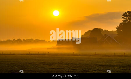 Orange Sonnenaufgang über Misty holländische Landschaft mit Scheunen und Traktor in Twente, Niederlande Stockfoto