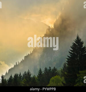 Sonnenaufgang über den Bergrücken mit Pinien in den europäischen Alpen in Frankreich in der Nähe von Les Deux Alpes Stockfoto
