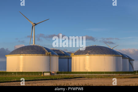 Moderne Öltanks im industriellen Bereich am Hafen mit blauem Himmel in den Niederlanden Stockfoto