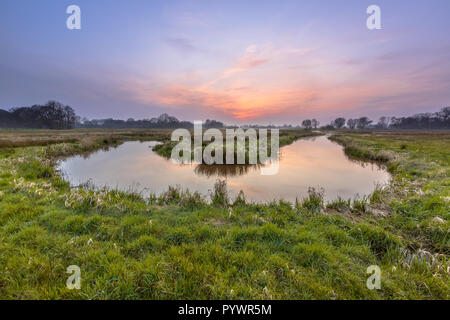 Mäandernden Fluss Regge bei Sonnenuntergang, Twente, Niederlande. Ein Mäander bildet, wenn Wasser in einem Bach untergräbt die Outer Banks und weitet sich das Tal, und Stockfoto