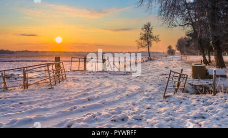 Aufgehende Sonne über Winterlandschaft mit verschneiten Felder und blauer Himmel in Drenthe, Niederlande Stockfoto