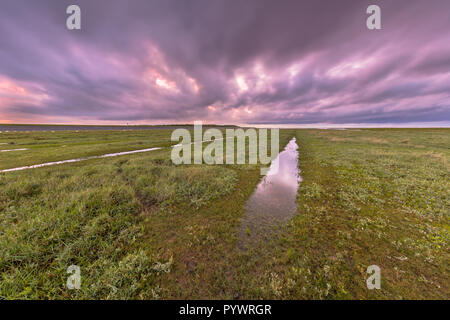 Sonnenuntergang über dem Graben in Gezeiten Marsh flach am Wattenmeer, Friesland, Niederlande Stockfoto