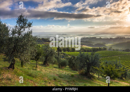 Toskanische Kulturlandschaft in der Nähe von San Gimignano. Stockfoto