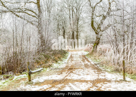 Eingangstor zu einem frostigen Waldweg mit Reim und Raureif auf Bäume und Äste Stockfoto