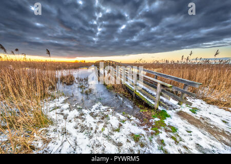 Winterlandschaft mit dünnen Schicht von Schnee auf Holzsteg Brücke über Fluss in niederländisch Sumpf Stockfoto