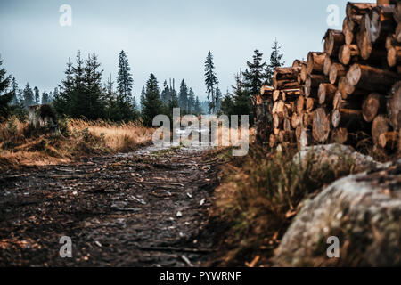 Misty Morning in Berge Landschaft Stockfoto