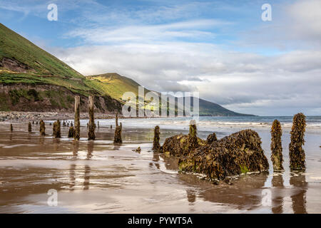 Blick auf den Ring of Kerry Rossbeigh, Irland, Europa Stockfoto