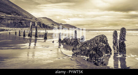 Blick auf den Ring of Kerry Rossbeigh, Irland, Europa Stockfoto