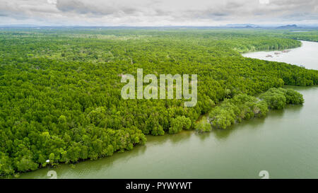 Luftaufnahme von üppigen Mangrove Tree Wald und Fluss in Krabi, Thailand Stockfoto